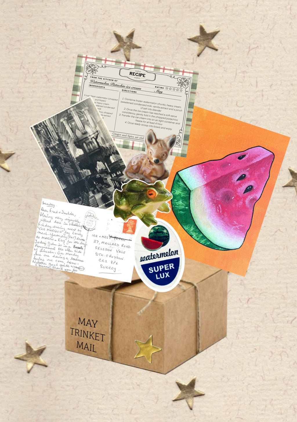 Snail Mail Subscription