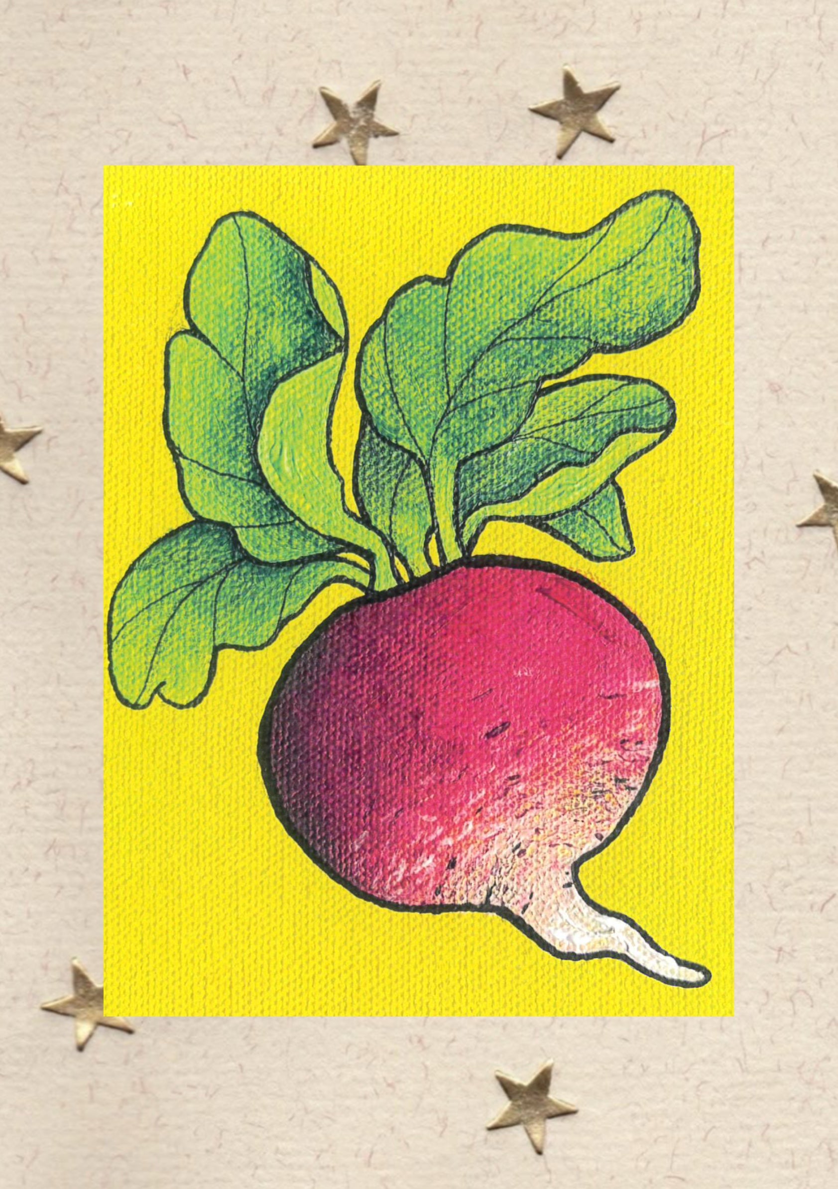 Snail Mail Subscription